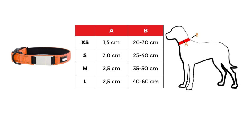 Tabela rozmiarów dla pomarańczowej obroży HUGGY DOGGY Daily, pokazująca opcje XS, S, M, L