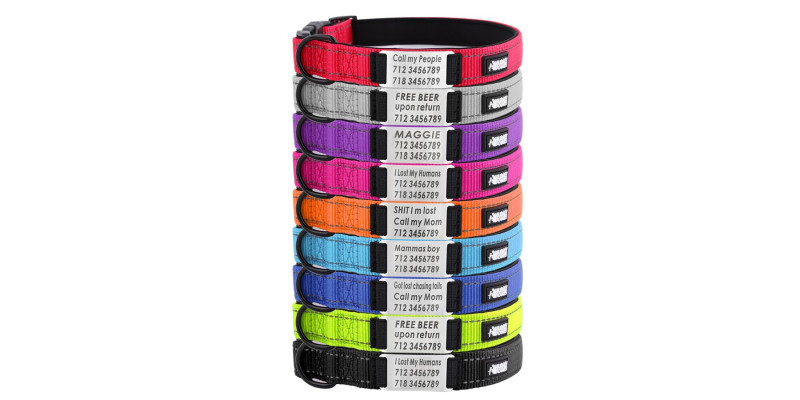 Zdjęcie różnych kolorów obroży HUGGY DOGGY Daily, z pomarańczową obrożą personalizowaną na pierwszym planie