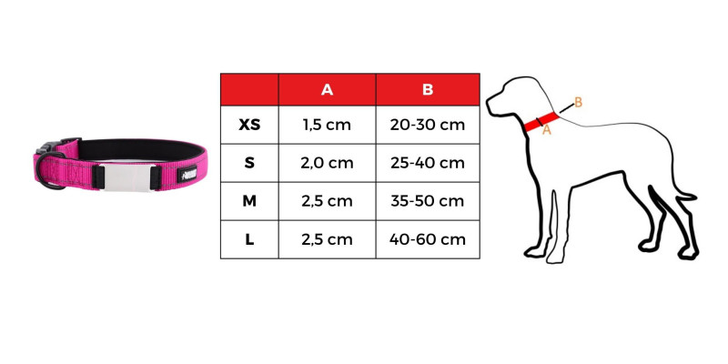 Tabela rozmiarów różowej obroży z imieniem od HUGGY DOGGY model Daily dla różnych ras psów, dostępne rozmiary XS S M L