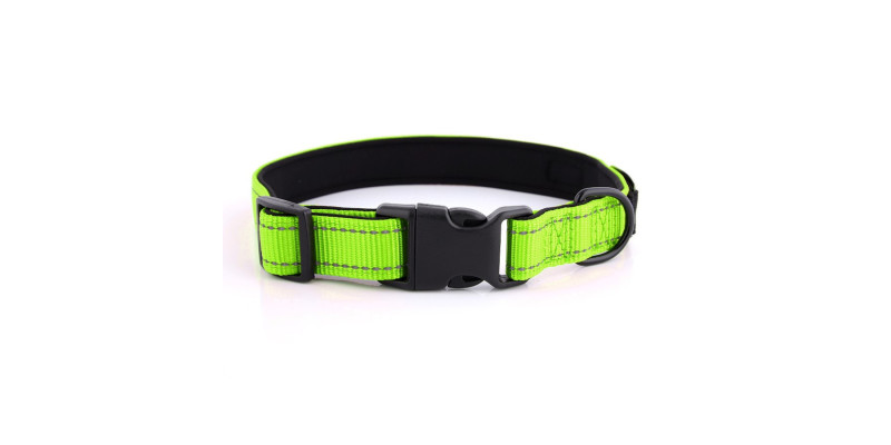 Personalizowana obroża HUGGY DOGGY w odcieniach zieleni z imieniem i numerem telefonu, idealna dla bezpieczeństwa psów.