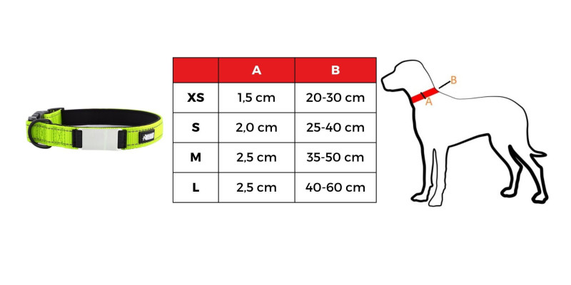 Tabela rozmiarów zielonych obroży dla psa z imieniem HUGGY DOGGY Daily, pokazująca opcje XS, S, M, L dla różnych ras