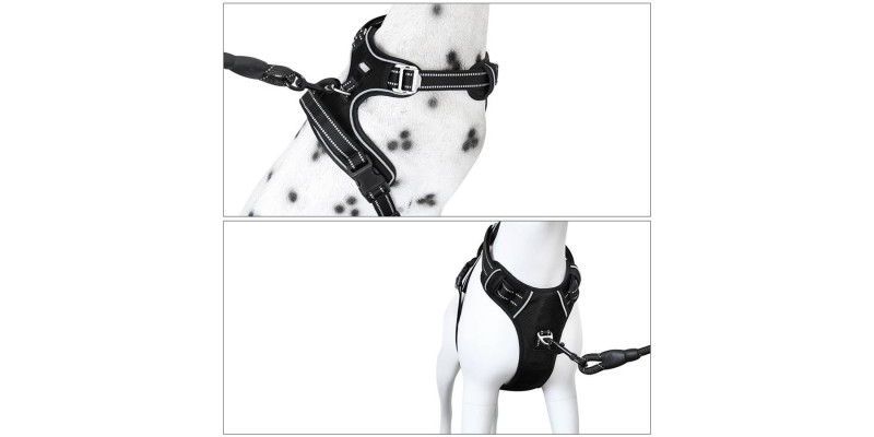 Funkcjonalne czarne szelki easy walk  Walky Guard od HUGGY DOGGY z dodatkowym uchwytem na smycz