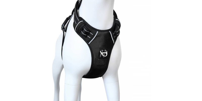 Czarne szelki Walky Guard od HUGGY DOGGY, idealne dla psów w każdym rozmiarze z dodatkowym uchwytem