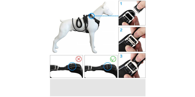 Szelki Walky Guard w kolorze czarnym od HUGGY DOGGY, łatwe w utrzymaniu czystości