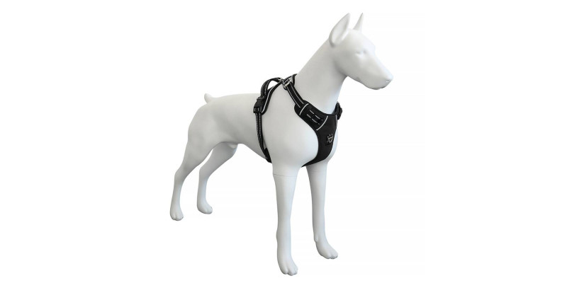 Czarne szelkieasy walk  Walky Guard dla psów od HUGGY DOGGY, z eleganckim designem