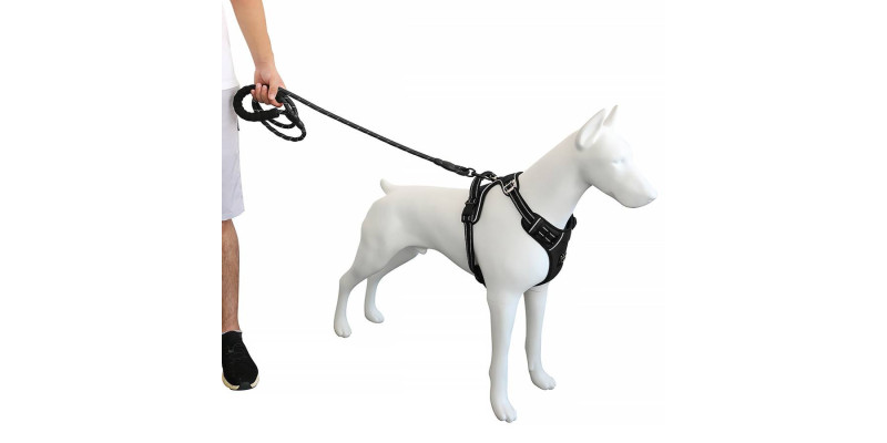 szelki z funkcją easy walk w kolorze czarnym dla psów małych i dużych od producenta HUGGY DOGGY model Walky Guard
