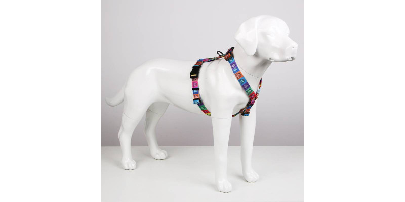 Szelki HUGGY DOGGY z serii Lucky, model Beetle Car, z odpornego materiału