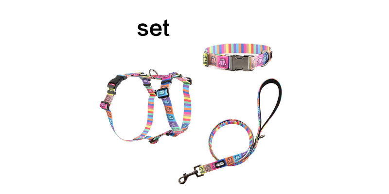 Szelki Lucky Beetle Car od HUGGY DOGGY, lekkie i komfortowe dla każdego psa