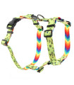 Szelki designerskie HUGGY DOGGY Lucky lime rainbow