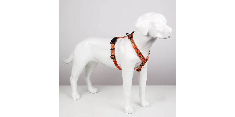 Szelki Lucky Tacos od HUGGY DOGGY, łączące funkcjonalność z nowoczesnym designem