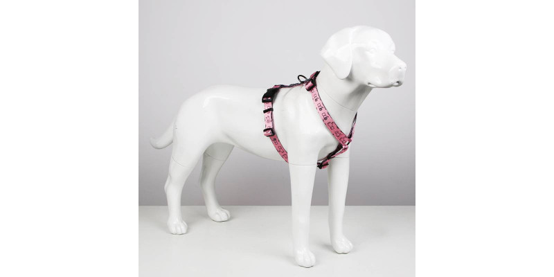 Praktyczne szelki dla psów designerskie od producenta HUGGY DOGGY, model Lucky Thumbs