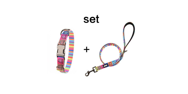 Zestaw obroży i smyczy HUGGY DOGGY Lucky Beetle Car, stylowy komplet dla psa