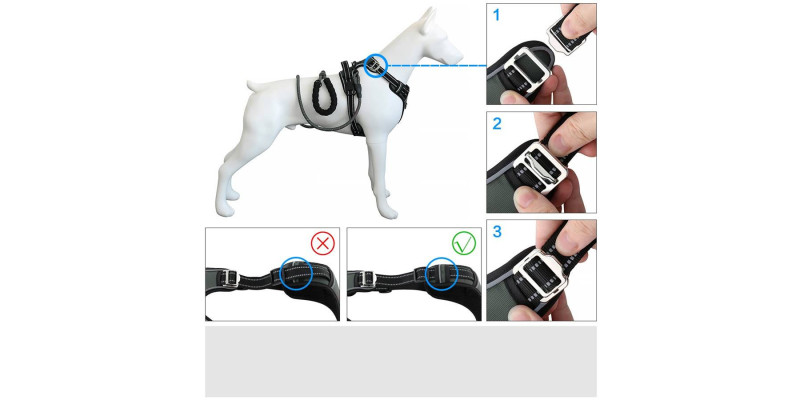 Szare szelki Walky Guard od HUGGY DOGGY dla psa z dodatkowymi punktami regulacji