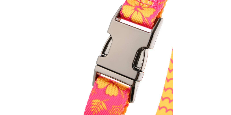 Elegancka obroża HUGGY DOGGY z grawerem imienia i numeru telefonu na solidnej klamrze