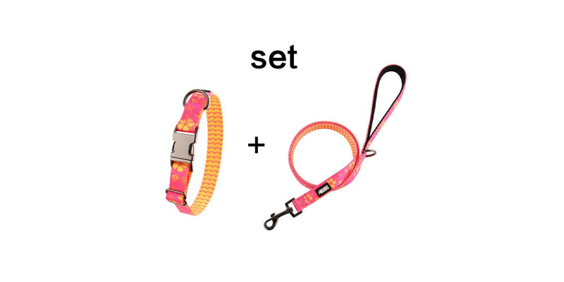 Zestaw obroży i smyczy HUGGY DOGGY Lucky Flower, elegancki komplet dla psa.