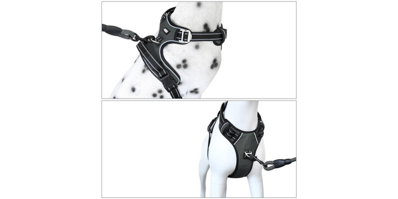 Szare szelki dla psa od HUGGY DOGGY Walky Guard, z miękkim wewnętrznym wyściółkowaniem