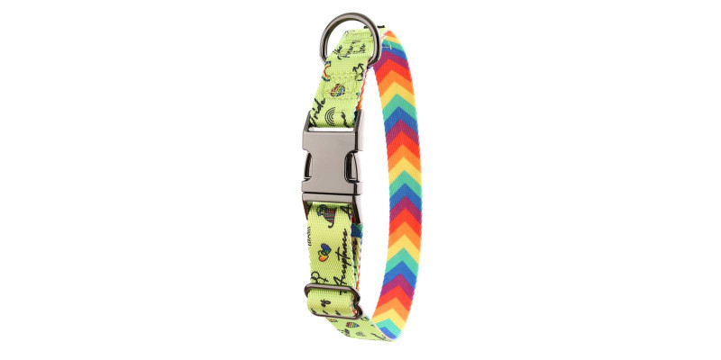 Obroża HUGGY DOGGY z kolekcji Lucky Lime Rainbow, wykonana z trwałych materiałów
