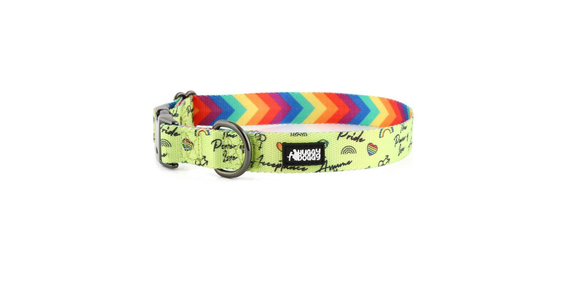 Tęczowa obroża designerska HUGGY DOGGY z aluminiową klamrą i grawerem imienia psa