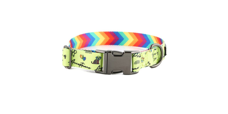 Kolorowa obroża HUGGY DOGGY Lucky Lime Rainbow z unikalnym tęczowym wzorem