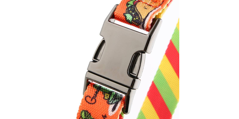 Personalizowana obroża HUGGY DOGGY z grawerowanym imieniem psa i numerem telefonu