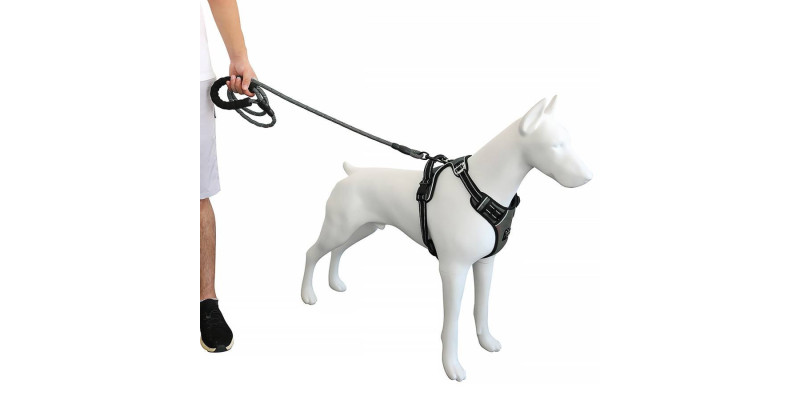 Szare szelki Walky Guard od HUGGY DOGGY, zapewniające swobodę ruchów i bezpieczeństwo podczas spacerów