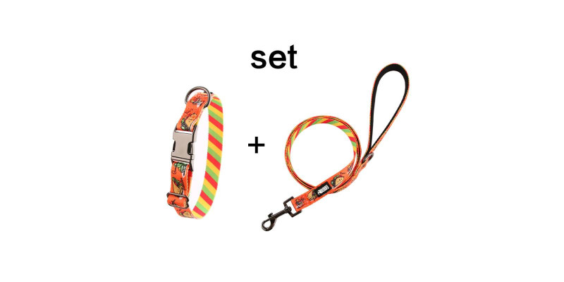 Zestaw obroży i smyczy HUGGY DOGGY Lucky Tacos, stylowy komplet dla psa