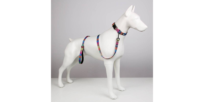 Zestaw smyczy z obrożą HUGGY DOGGY Lucky Beetle Car, wyjątkowy komplet dla psa