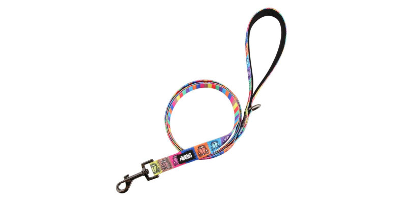 Smycz dla psa HUGGY DOGGY Lucky Beetle Car, 1,5 m, wzór samochodu