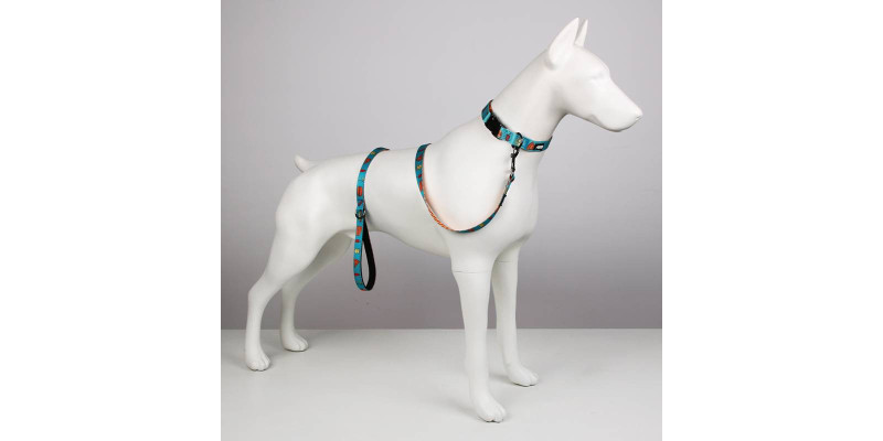 Zestaw smyczy z obrożą HUGGY DOGGY Lucky Fast Food, ciekawy komplet dla psa