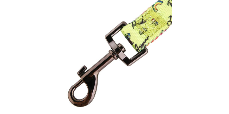 Designerska smycz HUGGY DOGGY Lucky Lime Rainbow, idealna dla modnych psów