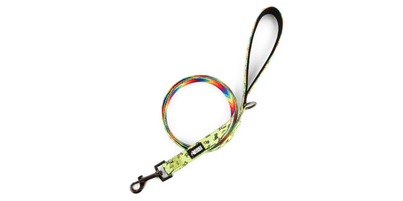 Smycz dla psów designerska HUGGY DOGGY Lucky Lime Rainbow, długość 1,5 m, wzór tęczy
