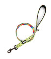 Smycz designerska 1.5 m HUGGY DOGGY Lucky lime rainbow