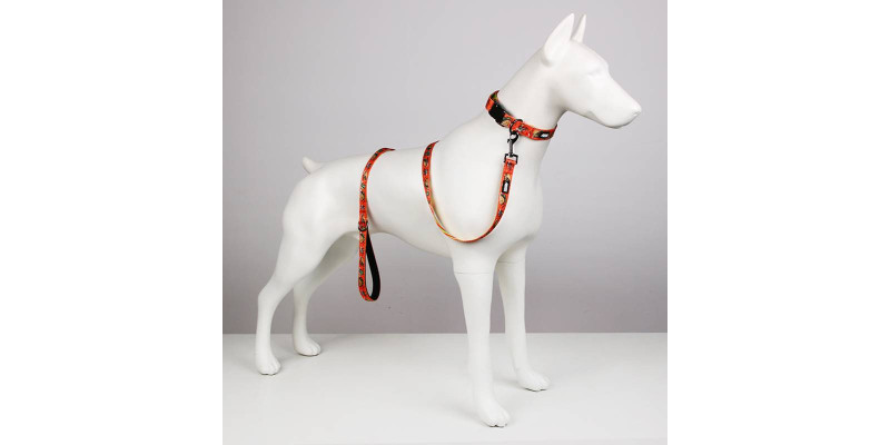 Zestaw smyczy z obrożą HUGGY DOGGY Lucky Tacos, praktyczny komplet dla psa