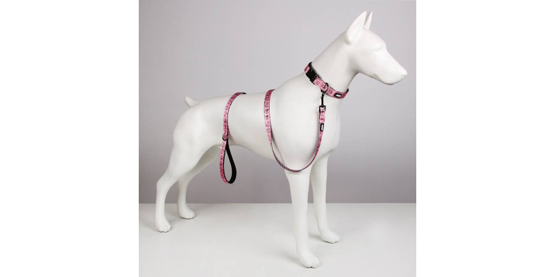 1,5-metrowa smycz HUGGY DOGGY Lucky Thumbs, solidny karabińczyk, komfort użytkowania