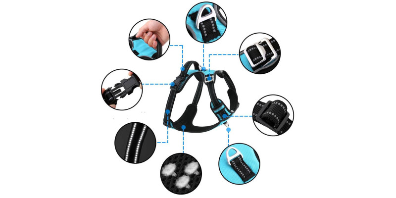 Niebieskie szelki dla psa Walky Guard, zaprojektowane dla komfortu i trwałości