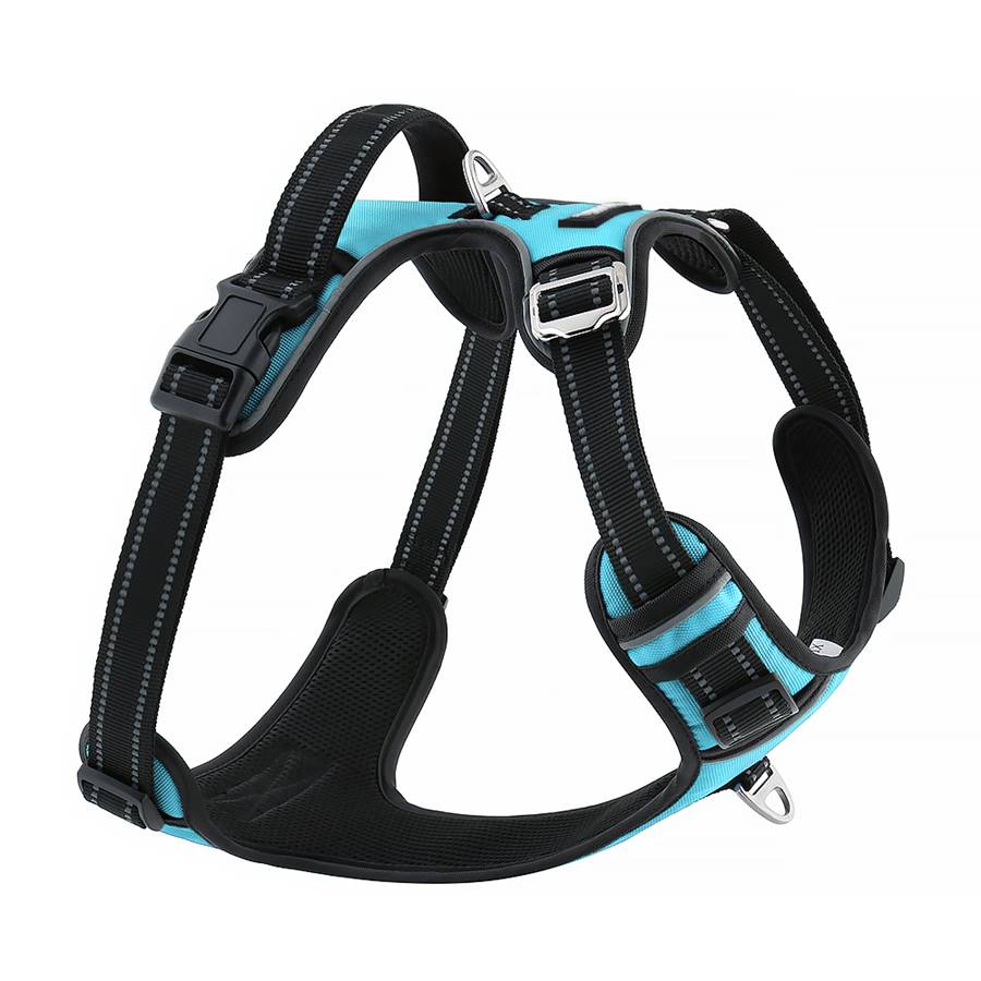 Pies w szelkach easy walk, które pozwalają na kontrolowanie psa bez ciągnięcia. Pies w trakcie spaceru z właścicielem, czuje się komfortowo i bezpiecznie.