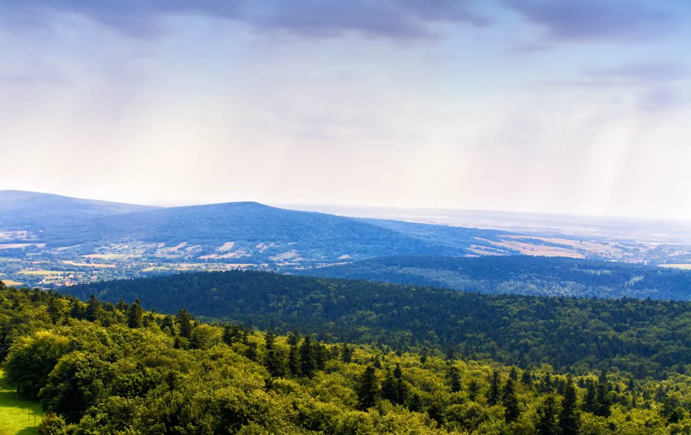 Łysa Góra góry świętokrzyskie z psem, widok na panoramę gór 