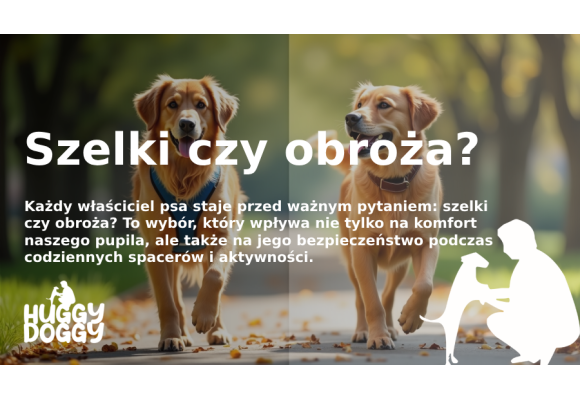 Szelki czy obroża: Które wybrać dla psa w różnych sytuacjach 2024