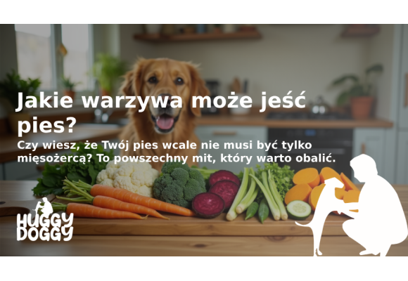 Jakie warzywa może jeść pies? Odkryj 12 bezpiecznych opcji