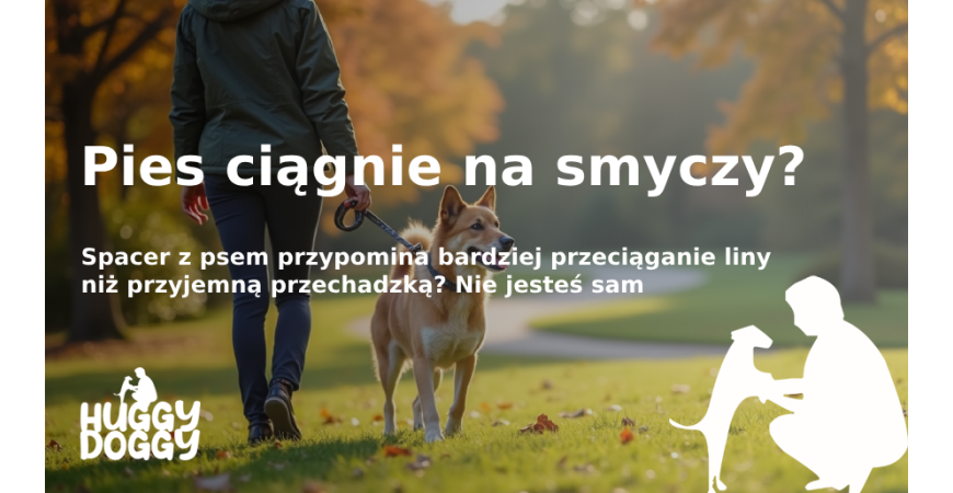 Pies ciągnie na smyczy? Oto jak rozwiązać ten problem szybko i łatwo