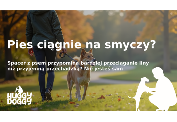 Pies ciągnie na smyczy? Oto jak rozwiązać ten problem szybko i łatwo