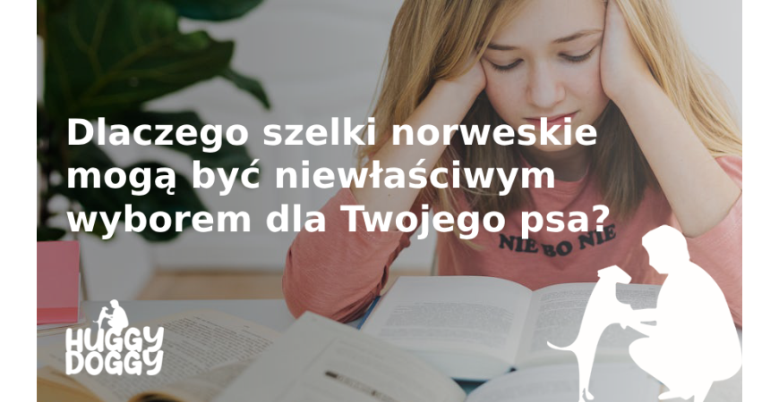 Dlaczego szelki norweskie mogą być niewłaściwym wyborem dla Twojego psa?