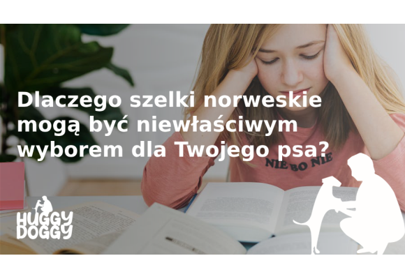 Dlaczego szelki norweskie mogą być niewłaściwym wyborem dla Twojego psa?