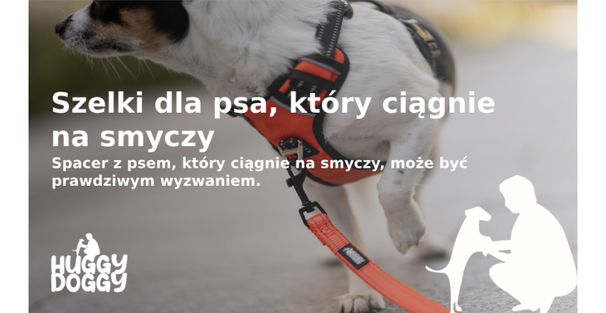 Szelki dla psa, który ciągnie na smyczy: Jak wybrać najlepszy model?