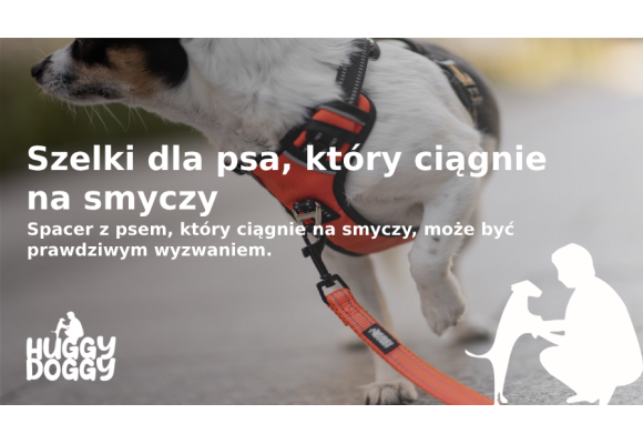 Szelki dla psa, który ciągnie na smyczy: Jak wybrać najlepszy model?