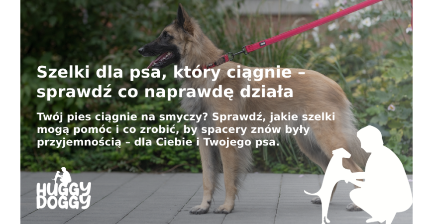 Szelki dla psa, który ciągnie na smyczy: Jak wybrać najlepszy model?