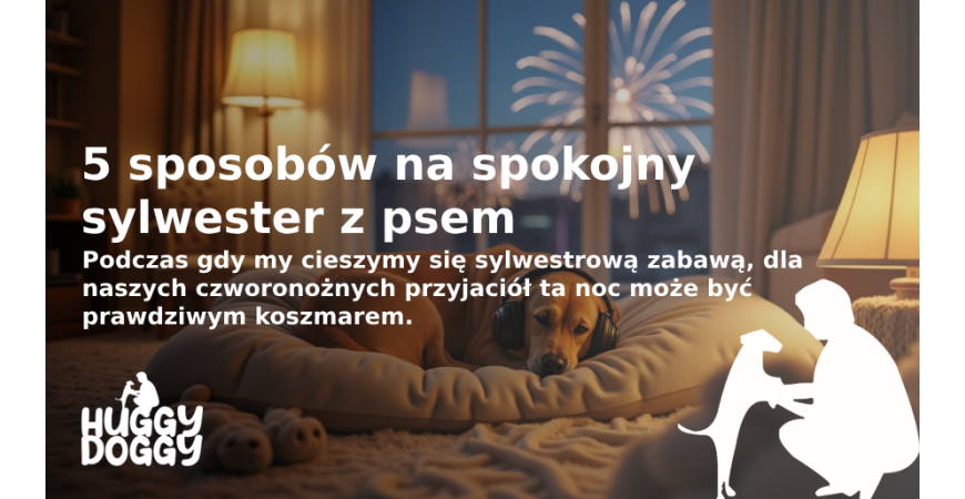 5 sposobów na spokojny sylwester z psem: Praktyczny przewodnik