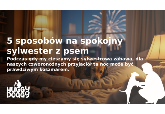 5 sposobów na spokojny sylwester z psem: Praktyczny przewodnik