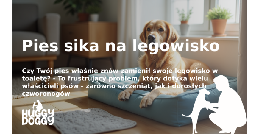 Jak rozwiązać problem: Pies sika na legowisko