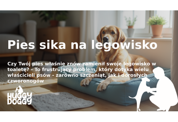 Jak rozwiązać problem: Pies sika na legowisko